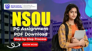nsou pg assignment