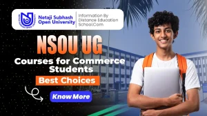 NSOU UG courses